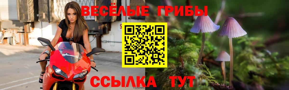 Красноуфимск  Псилоцибиновые грибы Magic Shrooms  Вход с VPN 